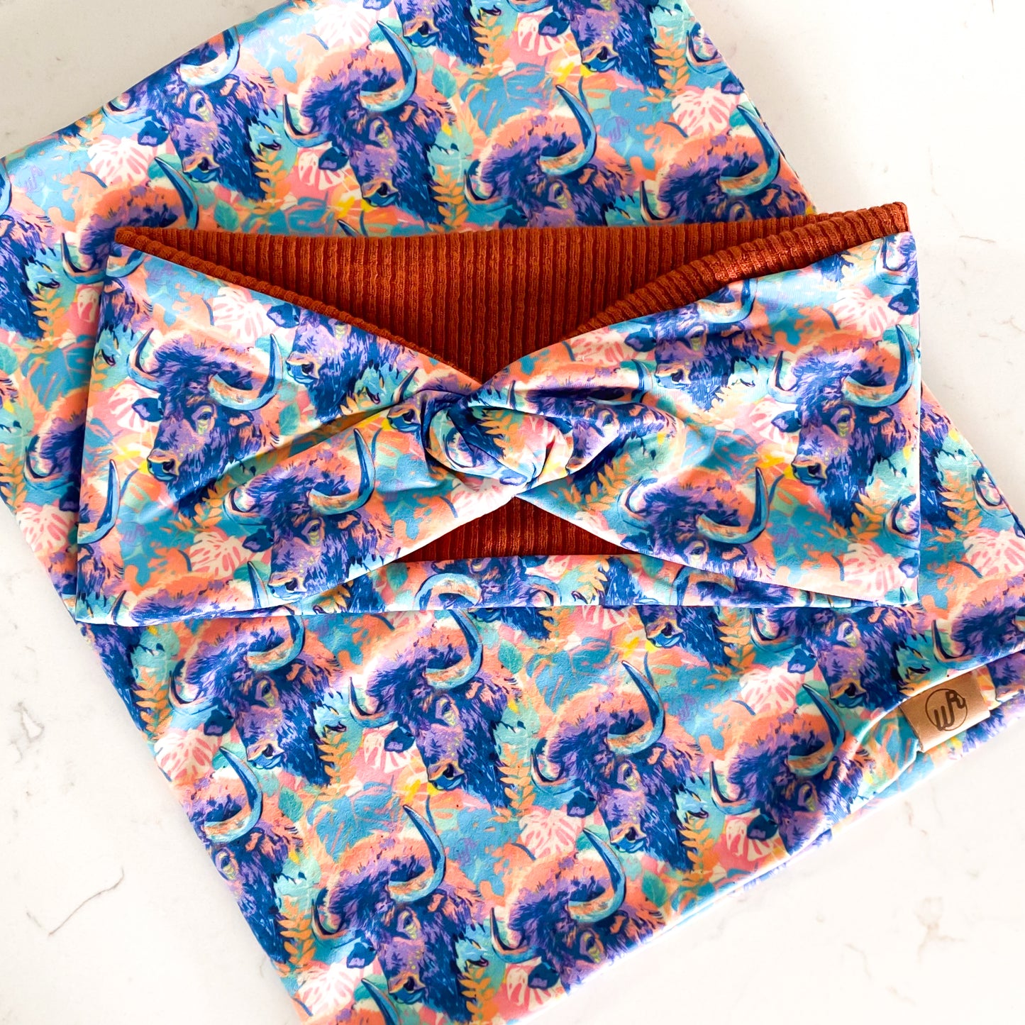 Bison on the Beach and Rust Koozie Set