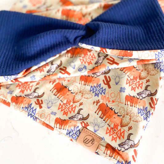 Aztec Herd and Blue Koozie Set